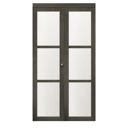 Renin 36 in. x 80 1/2 in. Euro 3-Lite Bi-Fold Door Iron Age EU3150IAFGE036080